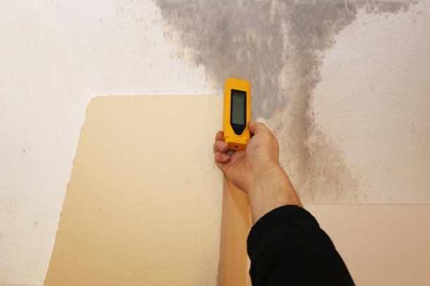 Best Attic Mold Removal  in West Point, NY
