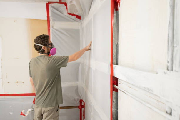 Professional Mold Removal in West Point, NY