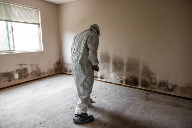 Best Comprehensive Air Testing for Mold Contaminants  in West Point, NY